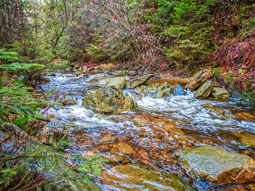 Farbenfrohe Natur mit fließendem Fluss