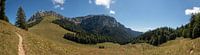 Chartreuse Panorama