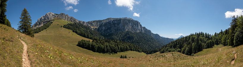 Chartreuse Panorama van Lieke Roodbol