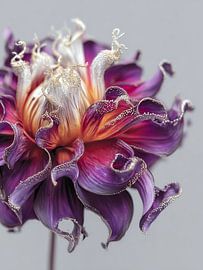 Purple Sparkle von Adje Photography