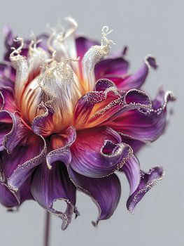 Purple Sparkle