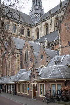 De Grote Bavokerk Haarlem van Hans Monasso