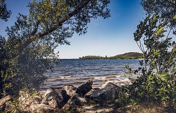 Harmonious day on the beach in Lubkowo near Gdansk by Jakob Baranowski - Photography - Video - Photoshop