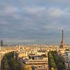 Uitzicht over Parijs van Dennis van de Water