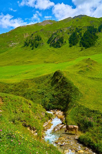 Fane Alm in South Tyrol , Malga Fanes by Reiner Würz / RWFotoArt