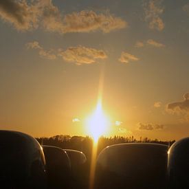 Zonsondergang over de Ginkel van Richard de Nooij