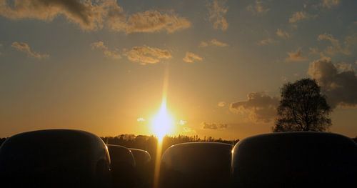 Zonsondergang over de Ginkel