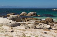 Boulders Pinguins in Zuid Afrika von Thea.Photo Miniaturansicht
