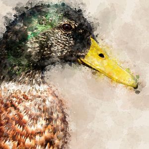 Porträt einer männlichen Ente (Aquarell)