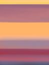 Radiant Sunburst van Annelies Hoogerwerf thumbnail