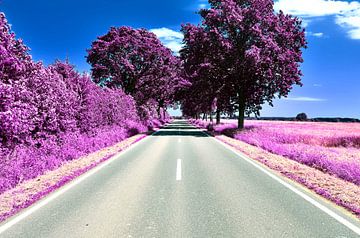 Infraroodbeeld van een weg in een roze landschap van MPfoto71