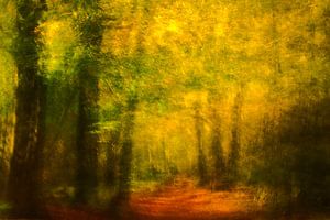 Schilderachtig bospad in de herfst