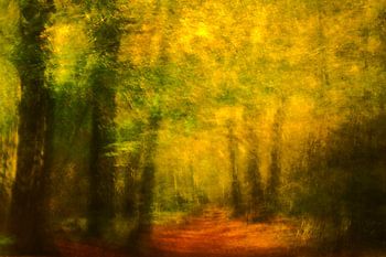 Schilderachtig bospad in de herfst 1