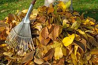 herfst