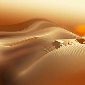 Sunset in the desert by Marlies Odehnal