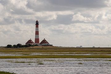 Salzwiese am Leuchtturm Westerheversand bei Flut von Alexander Wolff