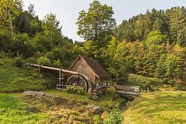 Watermill in the Black Forest