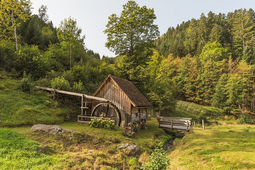 Watermolen in het Zwarte Woud van Conny Pokorny
