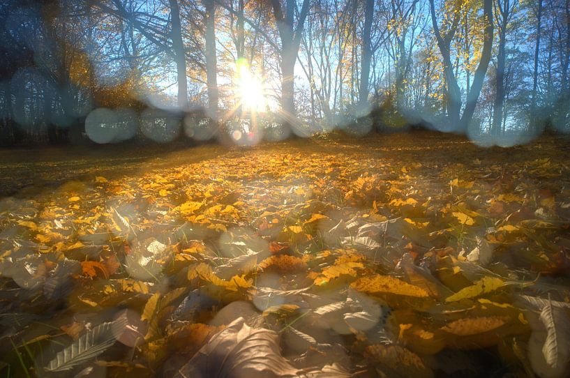 Dreamlights van Edgar Schermaul