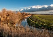 Zeeuws-Vlaanderen par Ellen Driesse Aperçu