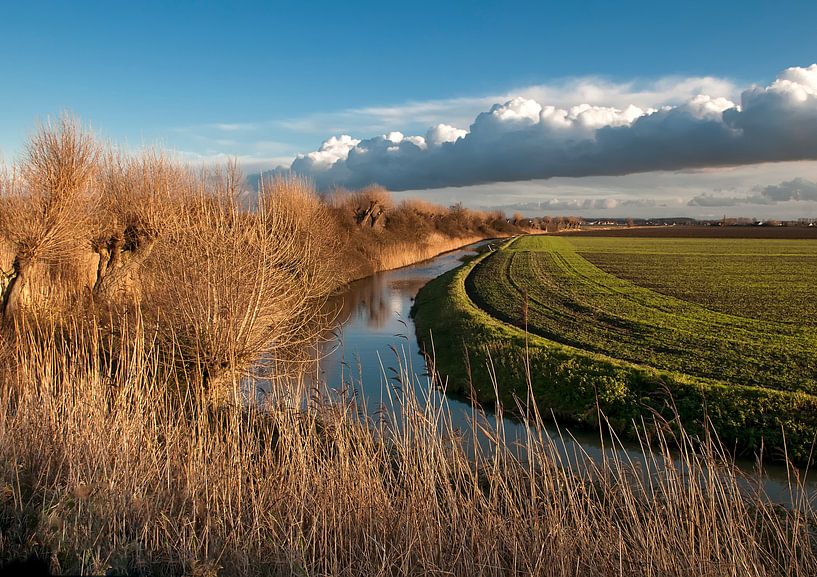 Zeeuws-Vlaanderen van Ellen Driesse