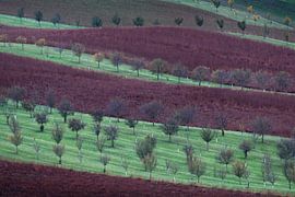 Abstract landscape in Moravia, Czech Republic by Anges van der Logt