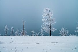 Einsam und verschneit von Joris Machholz