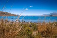 Tekapo-See auf der Südinsel Neuseelands