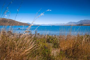 Lake Tekapo op het Zuidereiland van Nieuw-Zeeland van Troy Wegman