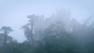 Villa Sassetti sur Orangefield-images