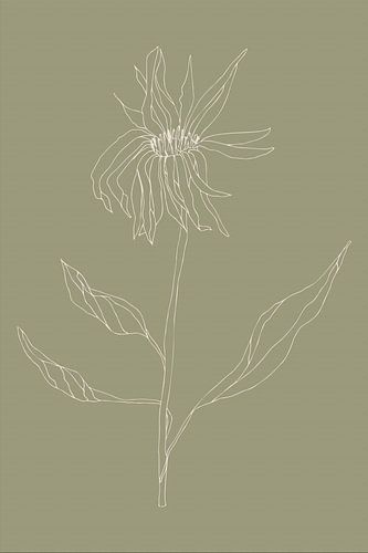 Fleur botanique boho sur vert sauge n°8