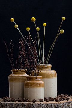 stilleven droogbloemen in Doulton & Watts potten