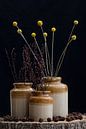stilleven droogbloemen in Doulton & Watts potten van Klaartje Majoor thumbnail