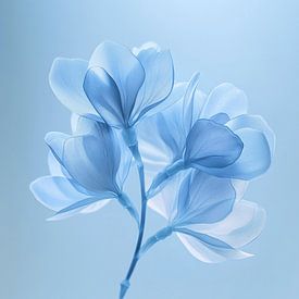 blauwe bloem van CanvasbyCaro