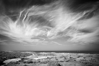 Plage de Scheveningen