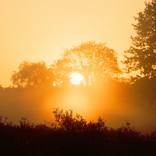Zonsopkomst van Van Renselaar Fotografie