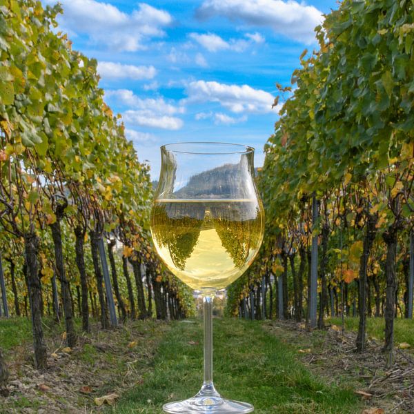Glas witte wijn van Heinz Grates