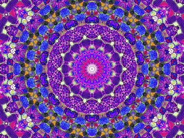 Lakritz-Mandala in Lila von Caroline Lichthart