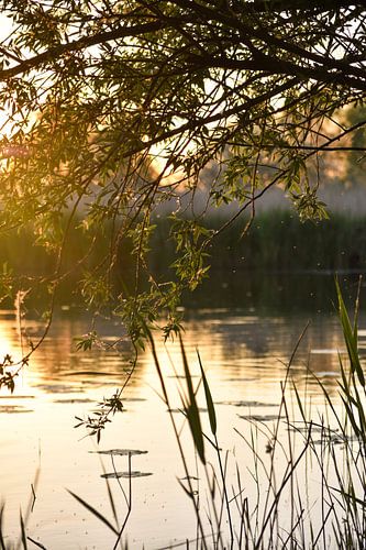Märchen, vreugderijkerwaard Zwolle