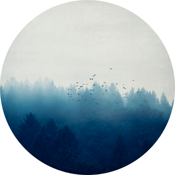 Misty Blue Forest van Dirk Wüstenhagen