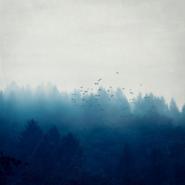 La forêt bleue brumeuse par Dirk Wüstenhagen