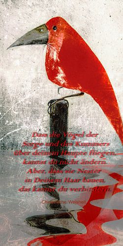 Uit China - Chinese wijsheid