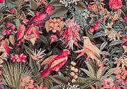 Tropische vogeltuin van Andrea Haase thumbnail