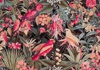 Tropical Bird Garden