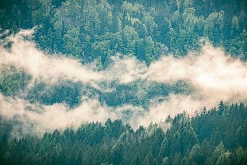 Wolken boven het bos in de Zgornje Jezersko vallei