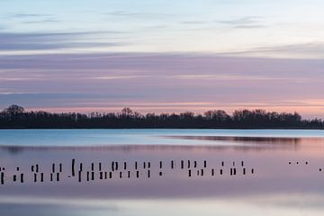 Sonnenaufgang Vinkeveen Botshol! von Peter Haastrecht, van