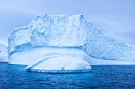 ijsschots met Witte aalscholvers by Eric de Haan thumbnail