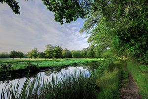 Vogelenzang im Pannenland
