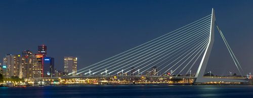 Skyline of Rotterdam by Miranda van Hulst