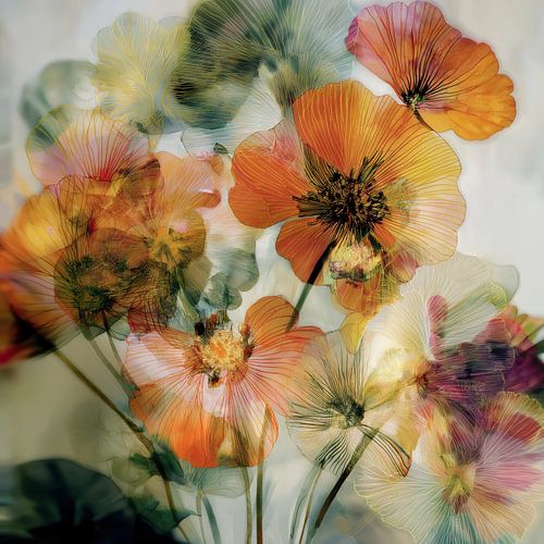 La splendeur des fleurs dans l'art abstrait